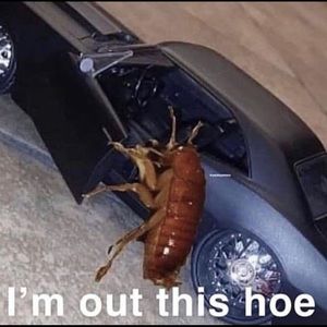 Meet your Posher, Jalee